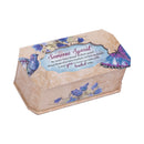 Cottage Garden Someone Special Truly Butterfly and Bird Glitter Musical Box Plays Tune Wonderful World