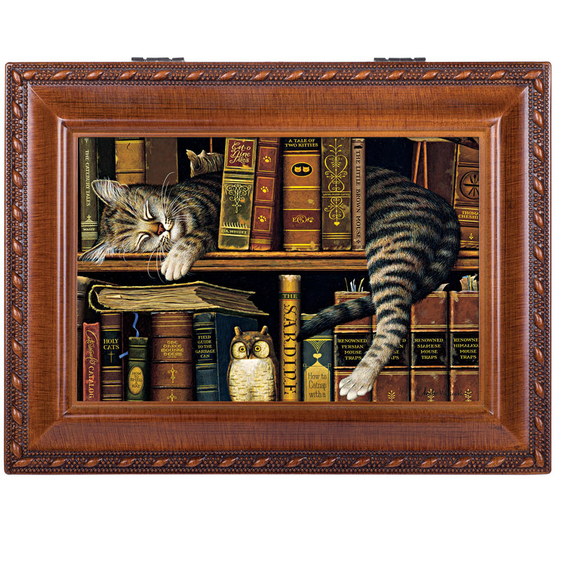 Cat Sleeping in library Wooden Music Box That's What Friends are For