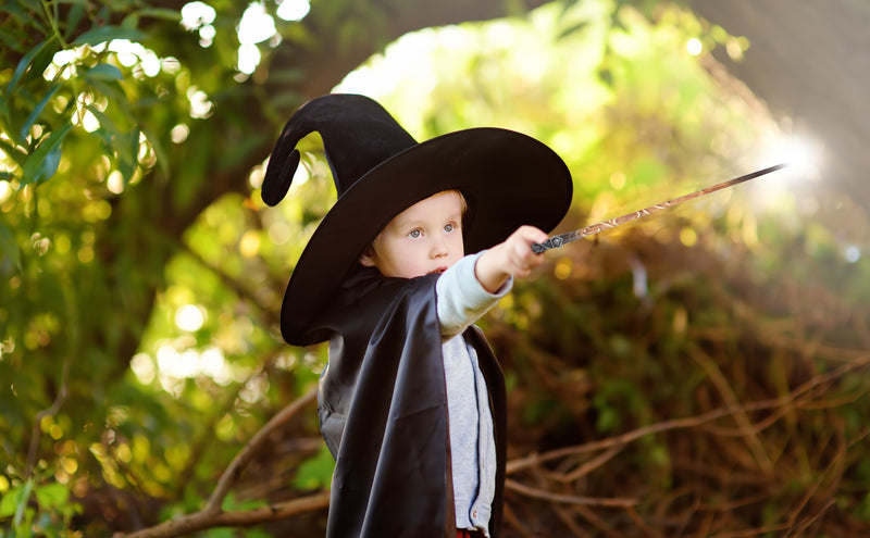 Cottage Garden Overseer Eye Silver 13.75 inch Resin Collectible Witch Wizard Cosplay Magic Wand