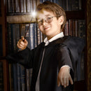 Cottage Garden Brave Heart Lion 13.75 inch Resin Collectible Witch Wizard Cosplay Magic Wand