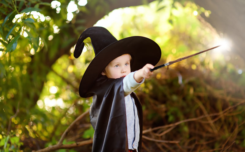 Cottage Garden Ravenwood Silver 13.75 inch Resin Collectible Witch Wizard Cosplay Magic Wand